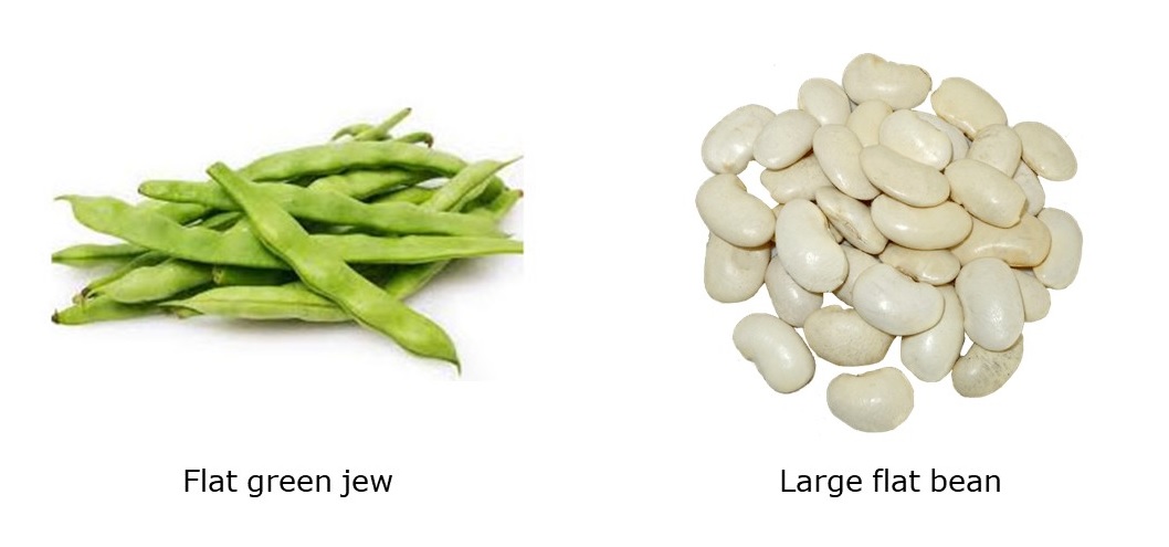 Flat green jew and large flat bean